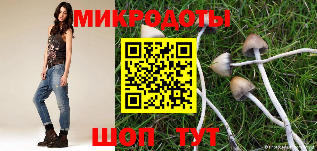 Зеленодольск  Галлюциногенные грибы GOLDEN TEACHER  Вход с VPN 